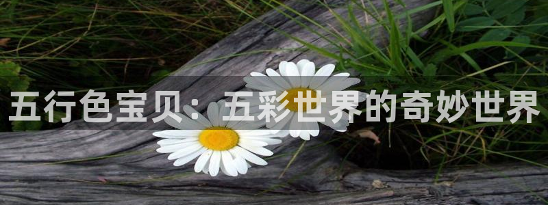 壹号玩家app下载：五行色宝贝：五彩世界的奇妙世界
